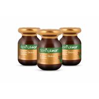 SpringLeaf Liver Detox 51,800mg 180 Capsules