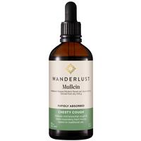 Wanderlust Mullein Drops 90ml