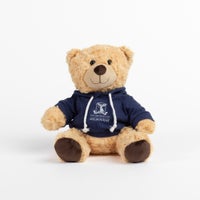 Soft toy - Barry the bear hoodie medium