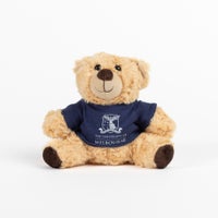 Soft toy - Barry the bear t-shirt small