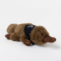 Soft toy - platypus small